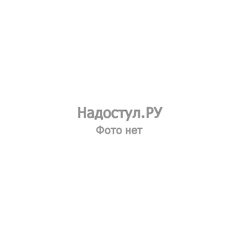 Стул для столовых, кафе, дома РС06, серебристый каркас, кожзам темно-коричневый главное фото